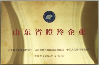 山東省瞪羚企業(yè)